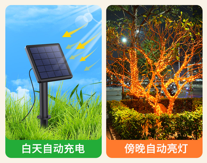 700x550滿天星燈串詳情.jpg